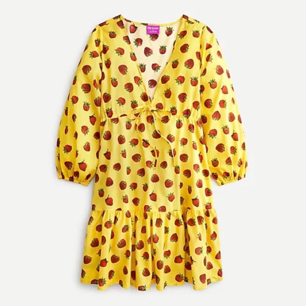 Edie Parker x J. Crew Strawberry Dress